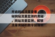 开启网站流量查看，揭秘网站流量监测的奥秘，网站流量监测，解锁流量奥秘的数字侦探术