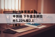 Big 5体育用品盘中异动 下午盘急速拉升5.22%报2.12美元