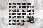 揭秘查询网站IP流量的秘密，如何精准分析网站流量，助力企业提升网络营销效果，揭秘网站流量密码，精准分析IP流量，助力企业网络营销升级