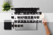 WAP端网站流量分析，现状、挑战与应对策略，WAP端流量分析，现状洞察与挑战应对策略解析