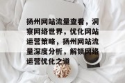 扬州网站流量查看，洞察网络世界，优化网站运营策略，扬州网站流量深度分析，解锁网络运营优化之道