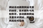 揭秘自动截取网站流量的秘密，技术解析与风险防范，自动截取网站流量技术揭秘，揭秘与风险应对指南