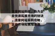流量网站购买，助力企业快速拓展市场的秘诀，流量网站采购攻略，企业市场拓展加速器