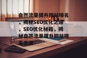 自然流量提升网站排名，揭秘SEO优化之道，SEO优化秘籍，揭秘自然流量提升网站排名之道