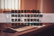 探索流量君网站链接，揭秘高效流量获取的秘密武器，流量君网站，揭秘高效流量获取秘籍