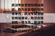 武汉专业营销型网站建设，助力企业提升在线竞争力，武汉专业营销型网站建设，助您在线制胜一臂之力，武汉专业营销型网站建设，企业在线制胜的强力助手