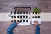 日照网站优化，提升企业在线竞争力，迈向数字营销新高峰