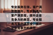专业服务引领，客户满意度飙升，专业服务与客户满意度，提升企业竞争力的典范，专业服务与客户满意度，提升企业竞争力的典范