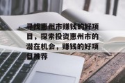 寻找惠州市赚钱的好项目,探索投资惠州市的潜在机会,赚钱的好项目推荐 寻找惠州市赚钱的好项目,探索投资惠州市的潜在机会,赚钱的好项目推荐
