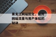 黑龙江网站优化，提升网站流量与用户体验的秘诀