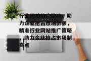 行业网站推广策略，助力企业抢占市场份额，精准行业网站推广策略，助力企业抢占市场制高点