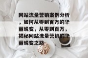 网站流量营销案例分析，如何从零到百万的华丽蜕变，从零到百万，揭秘网站流量营销的华丽蜕变之路