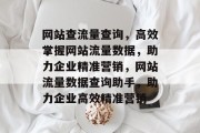 网站查流量查询，高效掌握网站流量数据，助力企业精准营销，网站流量数据查询助手，助力企业高效精准营销