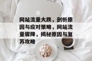 网站流量大跌，剖析原因与应对策略，网站流量骤降，揭秘原因与复苏攻略