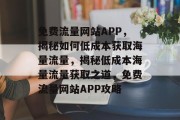 免费流量网站APP，揭秘如何低成本获取海量流量，揭秘低成本海量流量获取之道，免费流量网站APP攻略