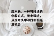废木头，一种可持续的创收方式，无土栽培，从废木头中寻找新的经济机会