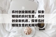 农村创业新机遇，探索赚钱的农村生意，农村创业新机遇，探索农村赚钱生意的无限可能
