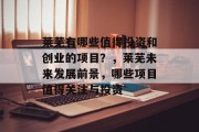 莱芜有哪些值得投资和创业的项目?,莱芜未来发展前景,哪些项目值得关注与投资 莱芜有哪些值得投资和创业的项目?,莱芜未来发展前景,哪些项目值得关注与投资