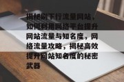 揭秘刷下行流量网站，如何利用网络平台提升网站流量与知名度，网络流量攻略，揭秘高效提升网站知名度的秘密武器