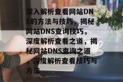 深入解析查看网站DNS的方法与技巧，揭秘网站DNS查询技巧，深度解析查看之道，揭秘网站DNS查询之道，深度解析查看技巧与方法