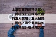 上海企业网站排名优化，揭秘提升在线曝光度的五大策略，五大秘籍，揭秘上海企业网站如何高效提升在线曝光度
