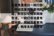流量充值途径一网打尽，揭秘流量充值查询网站，助你轻松畅享网络生活，一网打尽流量充值秘籍，揭秘流量查询网站，畅享无忧网络生活