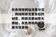 灰色地带网站流量分流，揭秘网络流量背后的秘密，网络流量秘密大揭秘，灰色地带网站流量分流真相