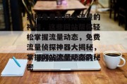 揭秘免费查网站流量的神器，这些网站帮你轻松掌握流量动态，免费流量侦探神器大揭秘，掌握网站流量动态的秘密