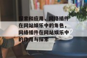 探索和应用，网络插件在网站娱乐中的角色，网络插件在网站娱乐中的作用与探索