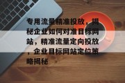 专用流量精准投放，揭秘企业如何对准目标网站，精准流量定向投放，企业目标网站定位策略揭秘