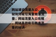 网站建设流量入口，揭秘如何吸引海量精准流量，网站流量入口攻略，揭秘高效吸引精准流量的秘诀