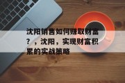沈阳销售如何赚取财富？，沈阳，实现财富积累的实战策略