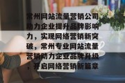 常州网站流量营销公司助力企业提升品牌影响力，实现网络营销新突破，常州专业网站流量营销助力企业品牌升级，开启网络营销新篇章