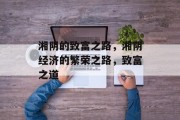 湘阴的致富之路，湘阴经济的繁荣之路，致富之道