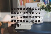 深圳专业网站建设公司哪家好？揭秘行业佼佼者！，深圳网站建设行业翘楚大盘点，揭秘最佳选择！
