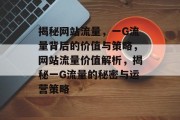 揭秘网站流量，一G流量背后的价值与策略，网站流量价值解析，揭秘一G流量的秘密与运营策略