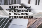探索查流量网站—Alex，轻松掌握网络数据，Alex，揭秘网络流量奥秘的查流量神器