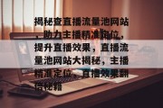 揭秘查直播流量池网站，助力主播精准定位，提升直播效果，直播流量池网站大揭秘，主播精准定位，直播效果翻倍秘籍