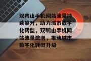 双鸭山手机网站流量持续攀升，助力城市数字化转型，双鸭山手机网站流量激增，推动城市数字化转型升级