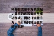 揭秘日流量千万的网站，背后的运营策略与成功秘诀，揭秘日流量千万，千万级网站运营策略全解析