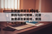 比亚迪遭遇流量困境，原因与应对策略，比亚迪遭遇流量困境，原因与应对策略
