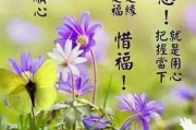 苹果早安问候怎么设置(苹果早安问候语怎么设置)