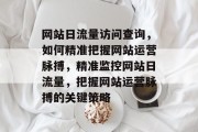 网站日流量访问查询，如何精准把握网站运营脉搏，精准监控网站日流量，把握网站运营脉搏的关键策略