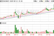 会计所“硬刚”南卫股份：存在资金占用问题 内控报告出具否定意见且拒绝修改！