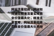 网站流量招商，揭秘如何通过精准流量实现商业价值最大化，精准流量策略，网站流量招商的商业价值最大化揭秘