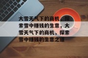 大雪天气下的商机，探索雪中赚钱的生意，大雪天气下的商机，探索雪中赚钱的生意之道