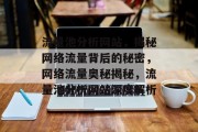流量池分析网站，揭秘网络流量背后的秘密，网络流量奥秘揭秘，流量池分析网站深度解析