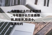 今年做什么行业最赚钱_今年做什么行业最赚钱,回报快,投资小,低风险的