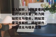 深入解析，如何查看网站的访问流量，助力网站优化与增长，网站流量深度解析，揭秘提升网站优化与增长之道