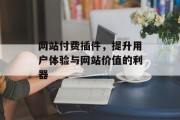 网站付费插件，提升用户体验与网站价值的利器